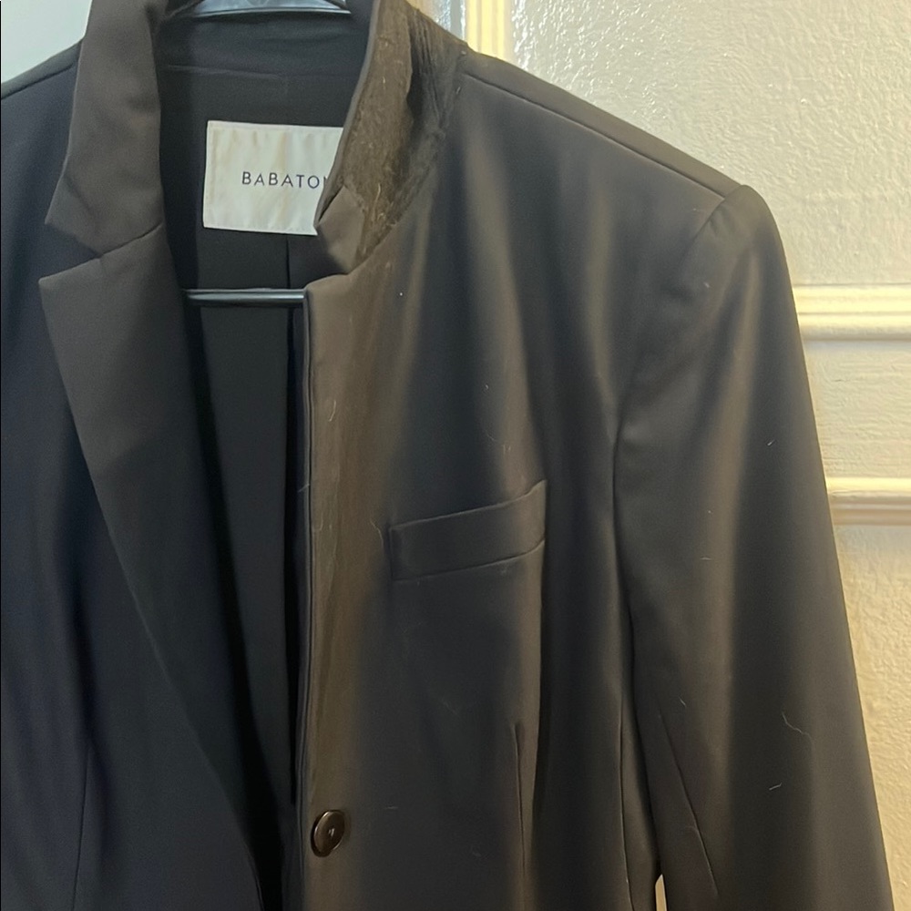 Aritzia Babaton Black Blazer 3/4 sleeves - Picture 4 of 9